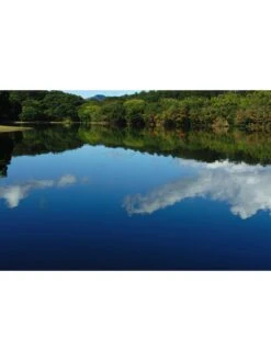 Sigma 35mm F1.4 DG A Series Lens - Canon Fit -Digital Station 3YLQW SQ4 0000000004 BLACK SLd2