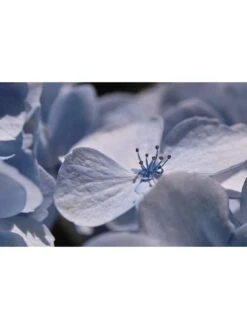 Sigma 105mm F/2.8 EX Macro DG HSM Optical Stabilised Lens Canon Fit -Digital Station LUYYC SQ5 0000000088 NO COLOR SLd3