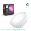 Philips Hue Hue BT - Go Portable Light 12V