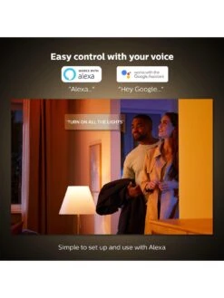 Philips Hue Hue BT - Go Portable Light 12V -Digital Station PG6P7 SQ4 0000000088 NO COLOR SLd2