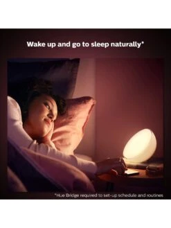 Philips Hue Hue BT - Go Portable Light 12V -Digital Station PG6P7 SQ5 0000000088 NO COLOR SLd3