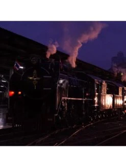 Sony SEL24240.SYX FE 24-240mm F/3.5-6.3 OSS Lens - Black -Digital Station PNDQL SQ7 0000000004 BLACK SLd3