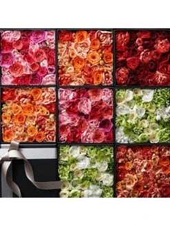 Sony SEL2470Z E Mount - Full Frame Vario T 24-70 Mm F4.0 Zeiss Zoom Lens -Digital Station PNDQM SQ6 0000000004 BLACK SLd2