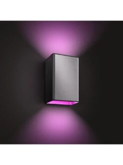 Philips Hue Resonate Hue White And Colour Ambience Wall Lantern Inox 2x8 -Digital Station QPRC3 SQ2 0000000099 N A SLd