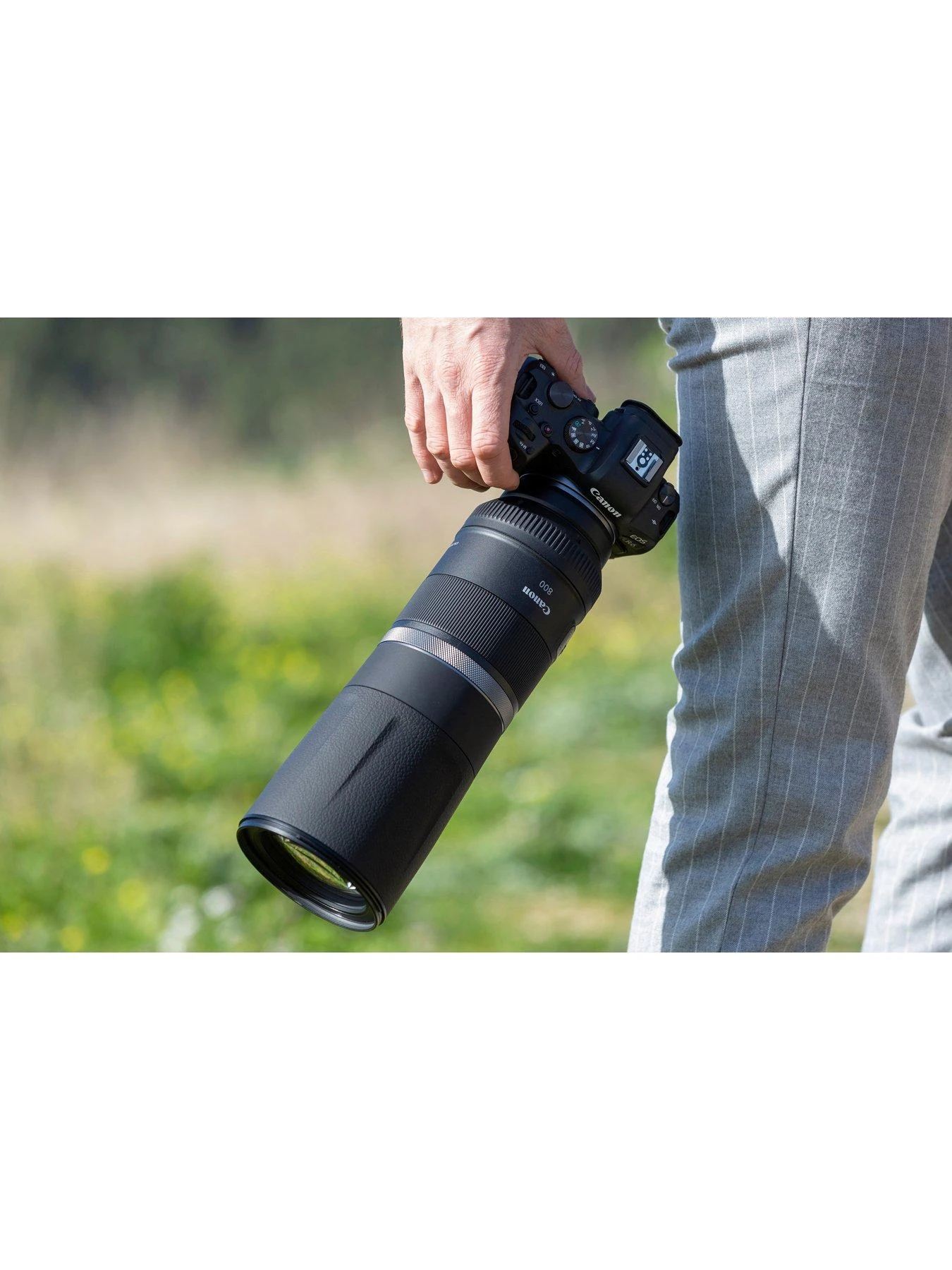 Canon® Canon RF 800mm F11 IS STM Lens 7 Canon® Canon RF 800mm F11 IS STM Lens - Image 7