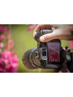 Canon® Canon EOS RP Full Frame CSC Camera Kit Including RF 50mm F1.8 STM Lens & Neck Strap -Digital Station T47FL SQ7 0000000099 N A SLd3