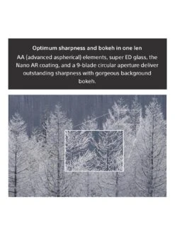 Sony FE 70-200mm F4 G OSS Telephoto Zoom Lens SEL70200G.AE 11 Sony FE 70-200mm F4 G OSS Telephoto Zoom Lens SEL70200G.AE -Digital Station TDUGX SQ5 0000000004 BLACK SLd1