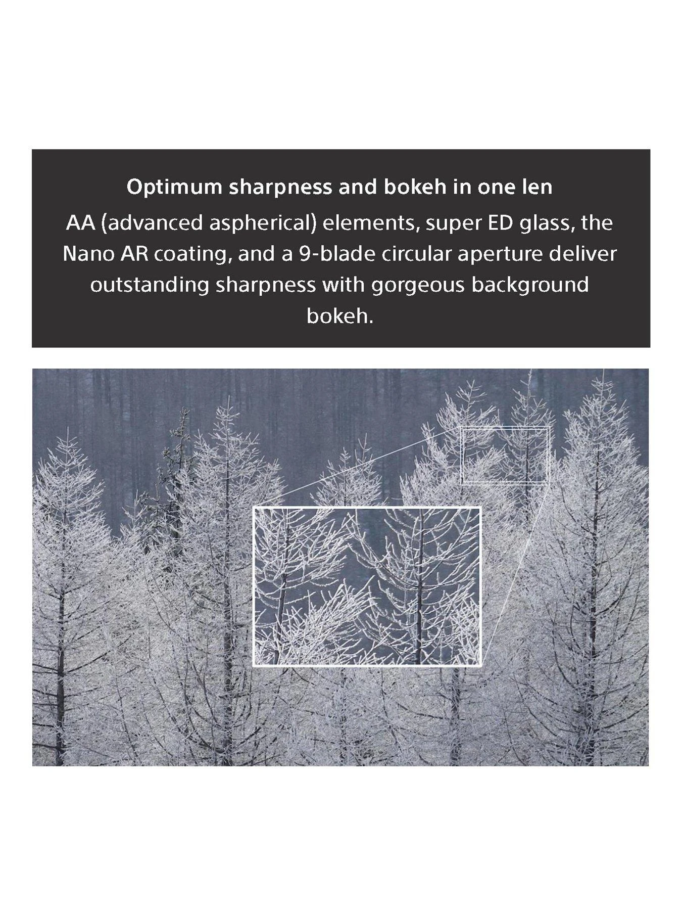 Sony FE 70-200mm F4 G OSS Telephoto Zoom Lens SEL70200G.AE 5 Sony FE 70-200mm F4 G OSS Telephoto Zoom Lens SEL70200G.AE - Image 5