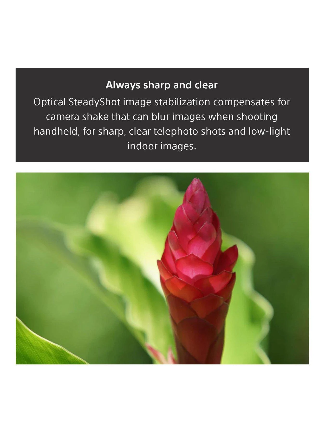 Sony FE 70-200mm F4 G OSS Telephoto Zoom Lens SEL70200G.AE 6 Sony FE 70-200mm F4 G OSS Telephoto Zoom Lens SEL70200G.AE - Image 6