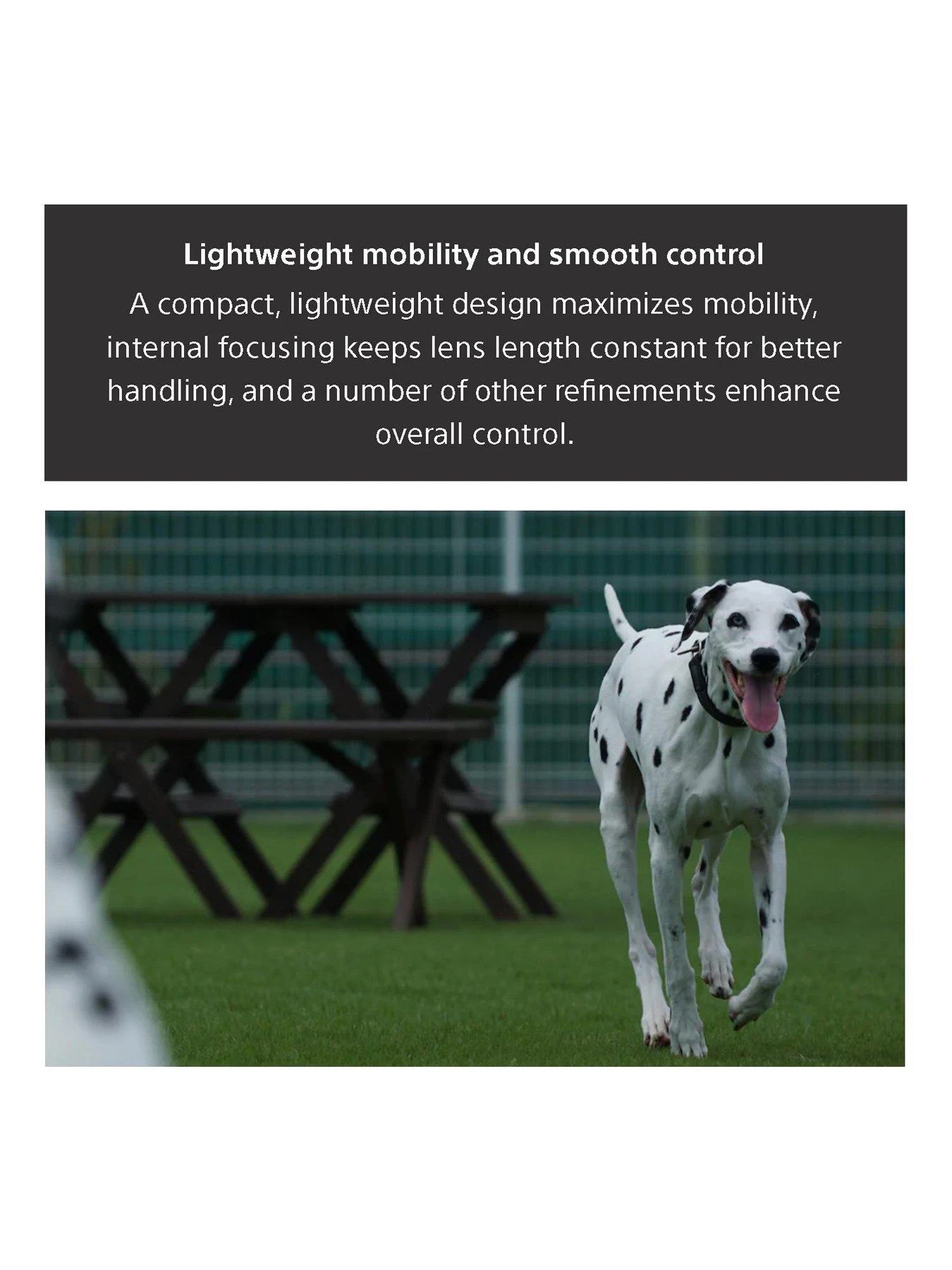 Sony FE 70-200mm F4 G OSS Telephoto Zoom Lens SEL70200G.AE 7 Sony FE 70-200mm F4 G OSS Telephoto Zoom Lens SEL70200G.AE - Image 7