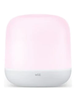 WiZ Wi-Fi BLE Portable Hero White Type-G