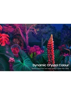 Samsung UE50BU8000KXXU, 50 Inch, Crystal, 4K Ultra HD HDR, Smart TV -Digital Station UTW8H SQ5 0000000004 BLACK SLd1