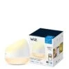 WiZ SQUIRE WiZ Portable 9W 22-65K RGB Type G