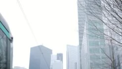 Victrola Eastwood Record Player - Dual Bluetooth 5.0 Turntable With Built-in Stereo Speakers And Audio Technica Cartridge -Digital Station VAWR8 SQ8 0000000099 N A DVvL