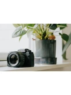 Fujifilm X-H2 Mirrorless Digital Camera With XF 16-80mm Lens - Black -Digital Station VB68C SQ7 0000000004 BLACK SLd3
