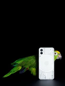 Nothing Phone (1) - 12GB RAM, 256GB Storage, White 13 Nothing Phone (1) - 12GB RAM, 256GB Storage, White -Digital Station VEII9 SQ7 0000000013 WHITE SLd3