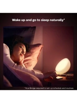 Philips Hue HB - Philips Hue Go And Dimmer Switch V2 -Digital Station VGENJ SQ4 0000000099 N A SLd2