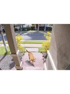 TP-Link TP Link D230S1 Video Doorbell With 2K Resolution -Digital Station VGQQT SQ5 0000000099 N A SLd1