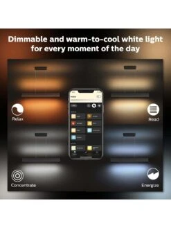 Philips Hue Ensis Hue Pendant Black 2x39W 24V -Digital Station VHA8K SQ4 0000000099 N A SLd2