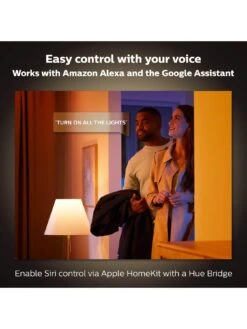 Philips Hue Ensis Hue Pendant Black 2x39W 24V -Digital Station VHA8K SQ5 0000000099 N A SLd3