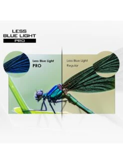 MSI Modern MD272QPW 27 Inch, Quad HD, 75Hz, IPS, USB Type-C, Built-in USB Hub, Flat Monitor With Adjustable Stand & Built-in Speakers -Digital Station VIE9C SQ6 0000000004 BLACK SLd2