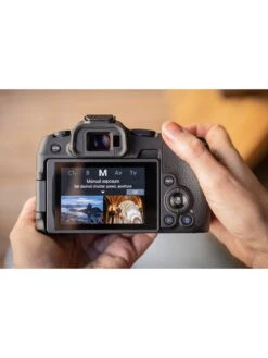 Canon® Canon EOS R8 Full Frame Mirrorless Camera (Body Only) -Digital Station VIMGK SQ5 0000000004 BLACK SLd1