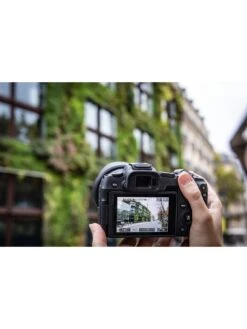 Canon® Canon EOS R8 Full Frame Mirrorless Camera (Body Only) -Digital Station VIMGK SQ6 0000000004 BLACK SLd2