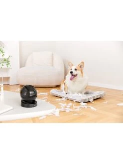 IMOU Rex 3D, Indoor PRO Dome Camera, 2K/3MP, Auto Tracking, Spotlight And 110dB Siren, AI Human & Abnormal Sound Detection, H.265 -Digital Station VIRYH SQ6 0000000088 NO COLOR SLd2