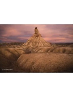 Sony FE 20-70 Mm F4 G , G Full-frame Standard Zoom Lens (SEL2070G.SYX) -Digital Station VJY3O SQ5 0000000004 BLACK SLd1