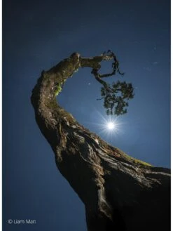 Sony FE 20-70 Mm F4 G , G Full-frame Standard Zoom Lens (SEL2070G.SYX) -Digital Station VJY3O SQ6 0000000004 BLACK SLd2