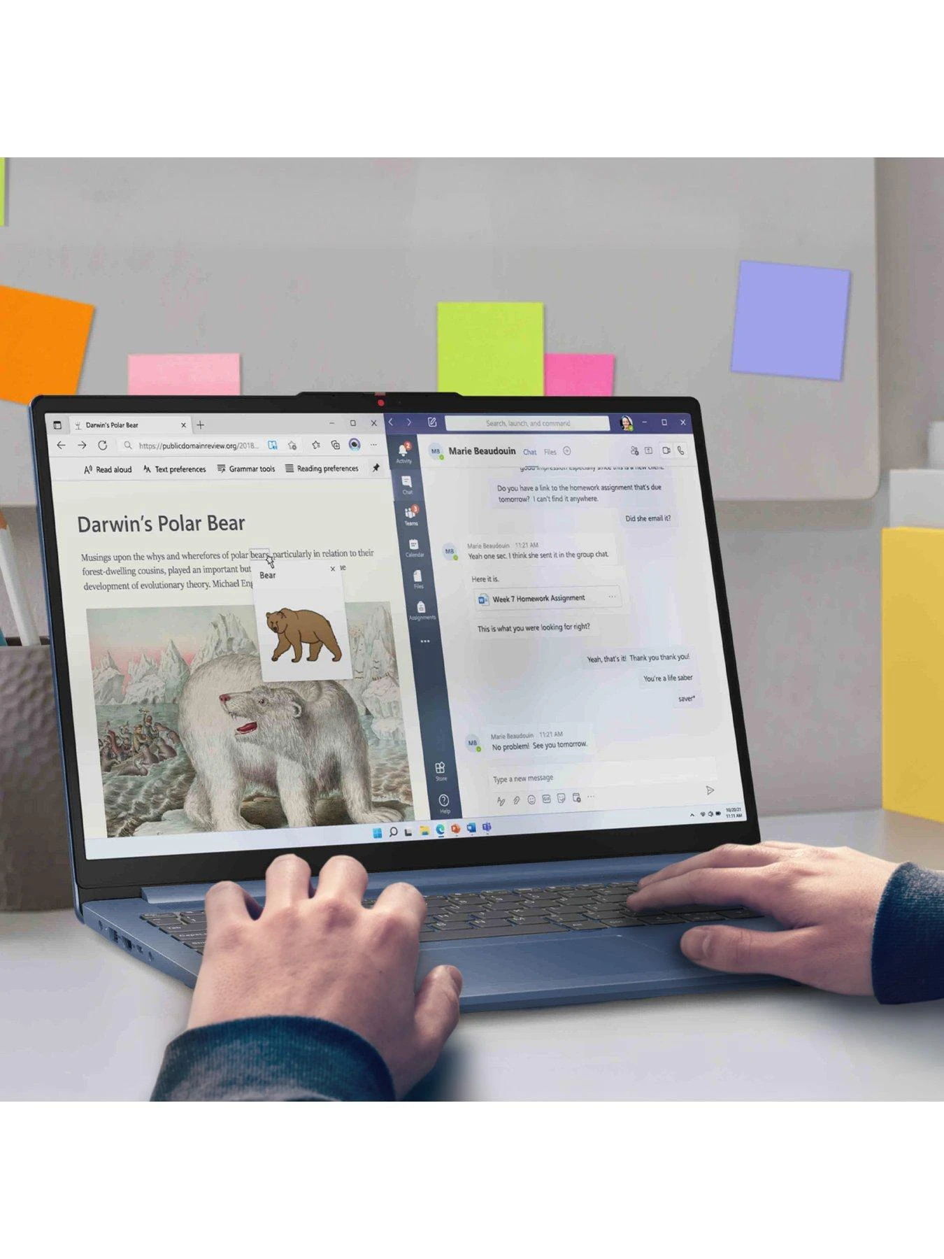 Lenovo IdeaPad Slim 3, AMD Ryzen 5, 8GB RAM, 512GB SSD, 16in Laptop - Blue 5 Lenovo IdeaPad Slim 3, AMD Ryzen 5, 8GB RAM, 512GB SSD, 16in Laptop - Blue - Image 5