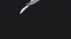 JVC HA-A30T Active Noise Cancelling Wireless Earbuds - White -Digital Station VO74H SQ8 0000000013 WHITE DVvL