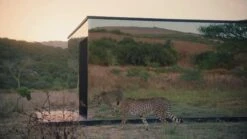 Sennheiser Ambeo Plus Sub -Digital Station VOVP3 SQ8 0000000004 BLACK DVvL