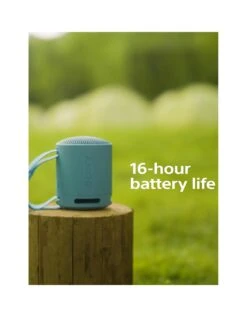 Sony SRS-XB100 - Wireless Bluetooth Portable Speaker, Durable IP67 Waterproof & Dustproof, 16 Hour Battery, Eco, Outdoor And Travel In Black -Digital Station VP7BK SQ3 0000000004 BLACK SLa