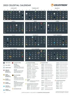 Celestron NexStar Evolution 5 SCT -Digital Station VQGLI SQ6 0000000035 SILVER SLd4