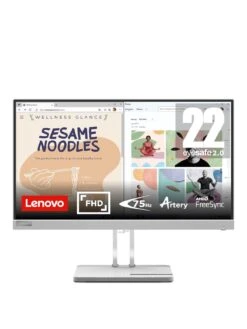 Lenovo L22e-40 FHD Monitor