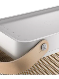 B&O Play Beolit 20 Bluetooth Speaker (Grey Mist) + B&O Beoplay EX Earbuds (Gold Tone) Bundle -Digital Station VRREC SQ4 0000000036 GOLD SLd